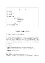 [국제마케팅] KICA 헤어아이롱 세계 시장 공략기-2