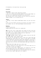 [국제마케팅] KICA 헤어아이롱 세계 시장 공략기-5