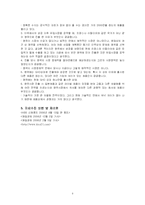 [국제마케팅] KICA 헤어아이롱 세계 시장 공략기-6