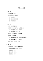 [마케팅] 엔씨소프트 중국 진출 전략-2