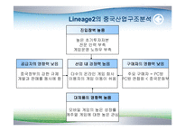[마케팅] 엔씨소프트 중국 진출 전략-13