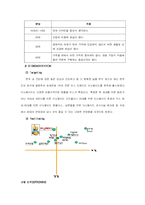 [마케팅] 미닛메이드(Minute Maid) 마케팅전략-13