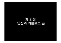 [경영학] 닛산(Nissan)의 경영실태 보고 및 대안제시-20