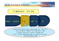 [조직행동론] 조직개발과 개입-13