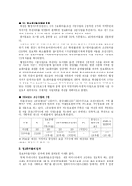 [전자정부론] 정보화마을-7