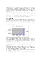 [전자정부론] 정보화마을-11