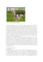 [전자정부론] 정보화마을-16