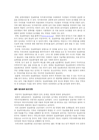 [전자정부론] 정보화마을-18