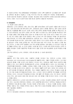 [마케팅] 삼성 `애니콜`의 중국시장 진출전략 및 성공요인 그리고 향후 전략-5