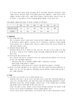 [마케팅] 삼성 `애니콜`의 중국시장 진출전략 및 성공요인 그리고 향후 전략-9