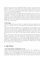 [마케팅] 삼성 `애니콜`의 중국시장 진출전략 및 성공요인 그리고 향후 전략-15
