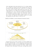 [경영학] 인재양성을 위한 SK의 체계적 교육에 대한 조명-8
