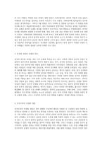 한국 민주주의의 발전과 정치적 도전 과제 김대중 정부의 안정화 과정 분석-4