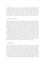 한국 민주주의의 발전과 정치적 도전 과제 김대중 정부의 안정화 과정 분석-5