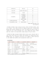 [국제경영] 썬앳푸드의 현황과 마케팅 전략 분석-7
