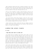 [국제경영] 썬앳푸드의 현황과 마케팅 전략 분석-8