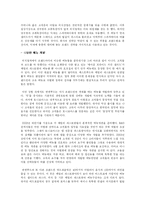[국제경영] 썬앳푸드의 현황과 마케팅 전략 분석-9