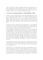 [국제경영] 썬앳푸드의 현황과 마케팅 전략 분석-14