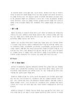 [국제경영] 썬앳푸드의 현황과 마케팅 전략 분석-17