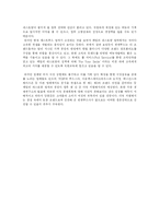 [국제경영] 썬앳푸드의 현황과 마케팅 전략 분석-20