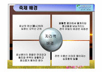 [관광경영축제] 지평선 축제 기획서-14