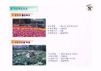 [관광 축제 제안서] 신탄진 봄축제 제안서PPT-15