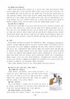 [초등국어] 매체와 국어교육-14