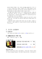 [사회심리학] 동조 순종 복종-6