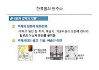 [마케팅] [마케팅]한류의 지속과 기업의 마케팅 활용방안-5