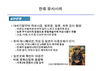 [마케팅] [마케팅]한류의 지속과 기업의 마케팅 활용방안-17