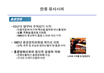 [마케팅] [마케팅]한류의 지속과 기업의 마케팅 활용방안-18