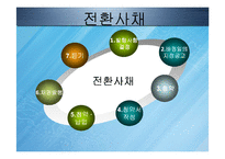 [회계원리] 전환사채와 신주인수권부사채-13