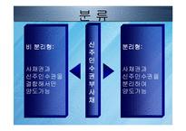 [회계원리] 전환사채와 신주인수권부사채-20