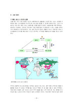 [국제마케팅] 쿠쿠홈시스 해외진출전략-20