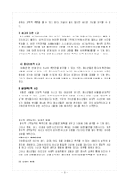 [청소년 발달과 학습] 형식적 조작능력의 영향-3