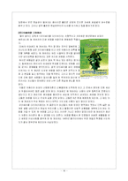 [청소년 발달과 학습] 형식적 조작능력의 영향-18