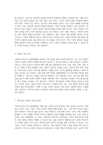 사회복지서비스의 전달체계 이해 개념과 핵심 원칙에 대한 포괄적 분석-6