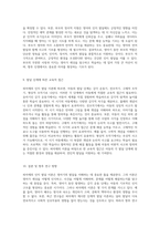 영아기 발달 피아제의 인지 발달 이론을 중심으로 탐구하기-5