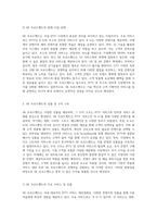 고속 인터넷 회선을 통한 TV 및 영상 디바이스에서의 콘텐츠 서비스 유형과 현황, 그리고 국내 IPTV 서비스 업체의 미래 전망 분석-4