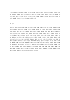 영아기와 유아기 발달 현대 신문기사 분석을 통한 양육 및 교육의 이론적 고찰-4