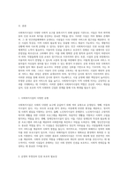 사회복지시설의 역할과 중요성 민간전달체계 내에서의 인권 보호와 운영 투명성-2