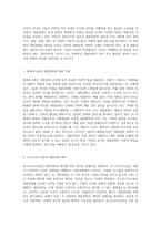 대중문화의 복잡한 양상과 정치적 함의 이론적 접근의 다각적 분석-4