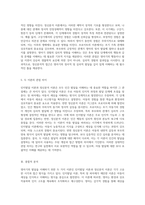 영아기의 발달을 이해하기 위한 두 가지 이론 인지발달 이론과 정신분석 이론의 비교-4
