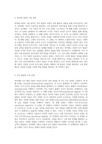 인지 발달과 애착 형성의 중요성을 탐구하는 피아제와 볼비의 이론-2