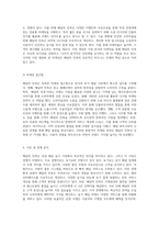 배달의 민족 우아한 형제들의 혁신적 성장과 비즈니스 모델 탐구-6