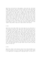 배달의 민족의 전략적 접근 마케팅과 경영전략 분석 및 SWOT 평가-2