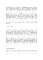 인지발달이론의 핵심 요소와 주요 단계의 중요성에 대한 고찰-2