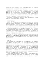 [특수교육] 통합교육-5