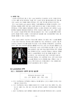 [마케팅] 애플 아이팟(i-pod) 완벽 분석-19