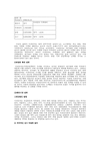 [마케팅] 디스플레이 전문 기업(주)이레전자산업의 성공 요인 분석-7